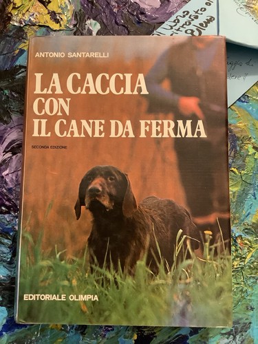 Caccia con cane da - il,