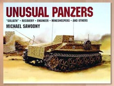 Unusual Panzers by Michael