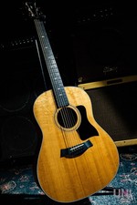 Taylor 317e Classe V 2019