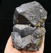 1256 g (2,7 libbre) 123 mm