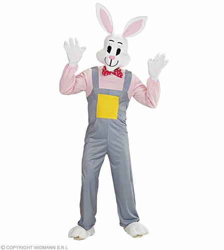 Costume coniglietto
