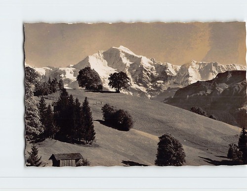 Cartolina montagna della - cartolina,