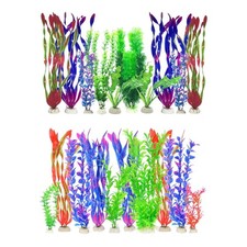 10 pezzi di piante per