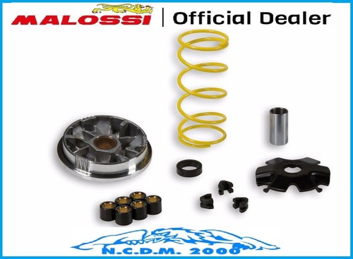 Variatore malossi multivar - variatore,