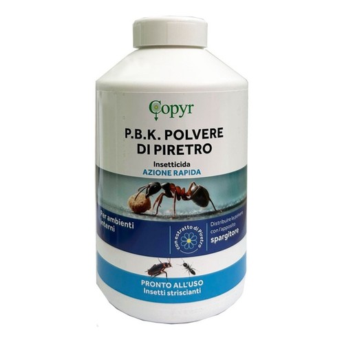 Insetticida polvere piretro - polvere, di