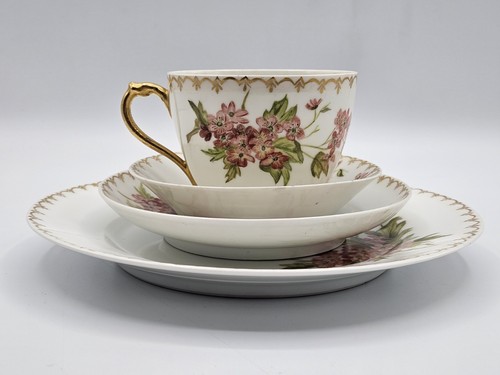 Raro set pranzo - /tazza, da