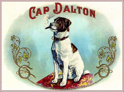 Cap dalton jack russell - dalton,