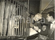 1958 ROMA Pittore Alberto