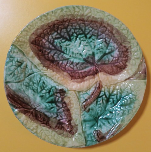 Antico piatto foglia - , begonia