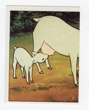figurina - FLO LA PICCOLA