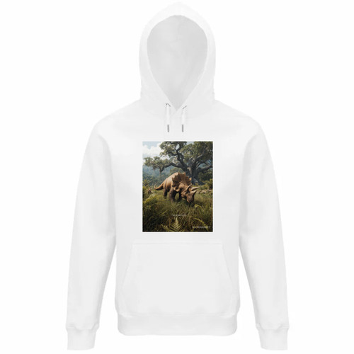 Felpa unisex cappuccio - felpa,