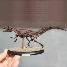 Acrocanthosaurus modello scheletro dinosauro modello statua esposizione modello animale