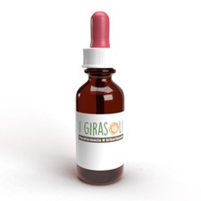 Tea tree oil puro -vari formati- USO COSMETICO E ALIMENTARE- SPEDIZIONE ESPRESSA