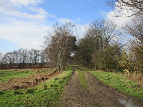 Photo 6x4 farm - track, to