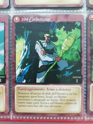 Carte hunter - hunter, x