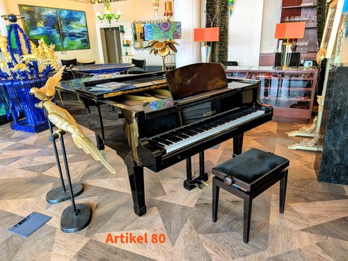Pianoforte coda concerto - pianoforte,