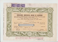 PALMANOVA UDINE TITOLO AZIONI 1948 ESSICATOIO COOPERATIVO BOZZOLI #CASS6
