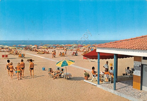 Cartolina marina - cartolina, di