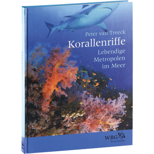 Barriere coralline viventi - barriere, coralline.