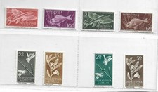 Sahara Español Flores Fauna