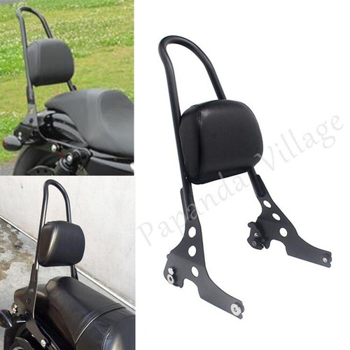 Schienale sissy bar - bar, passeggero
