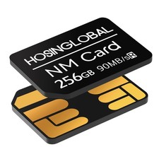 Scheda di memoria Nano 256 GB