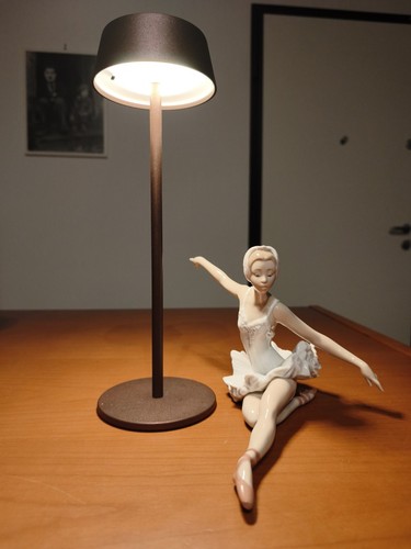 Lladro porcellana lago dei - lladro,