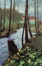 Sul fiume fotocromia Dresda