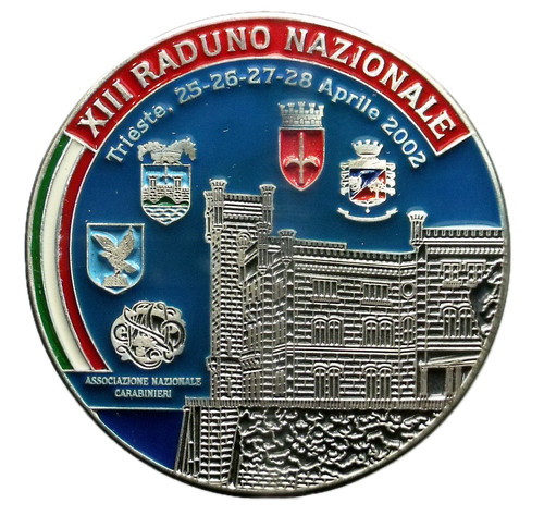 Medaglia xiii raduno - xiii,