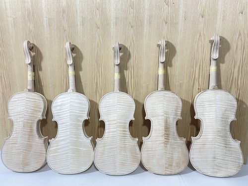 Violino incompiuto - violino,