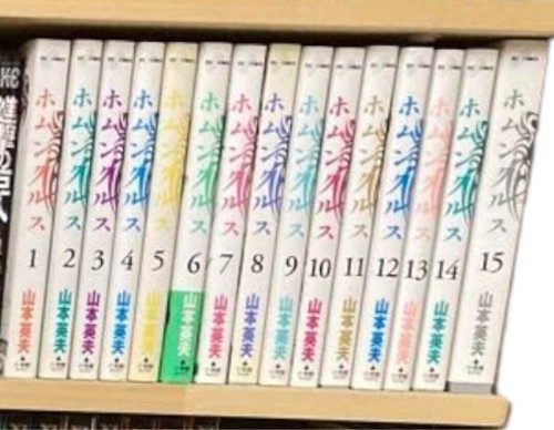 Usato homunculus vol - usato, vol.1-15