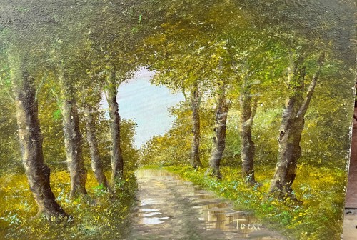 Luciano torsi 25x35 olio - 25x35, su