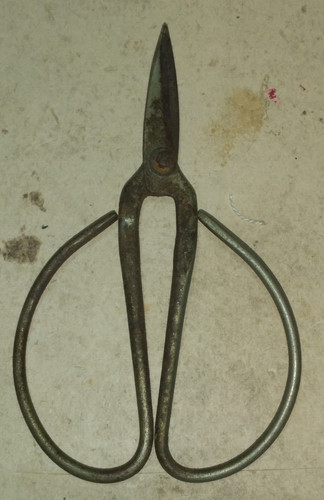 Antiche piccole forbici da - e,