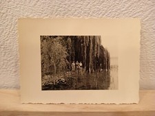 ritratto di gruppo sotto salice piangente lungo il fiume Italia anni '30 foto