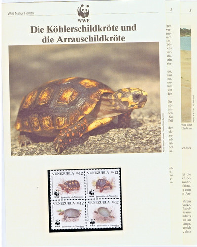 Wwf 1992 venezuela - 1992, tartarughe