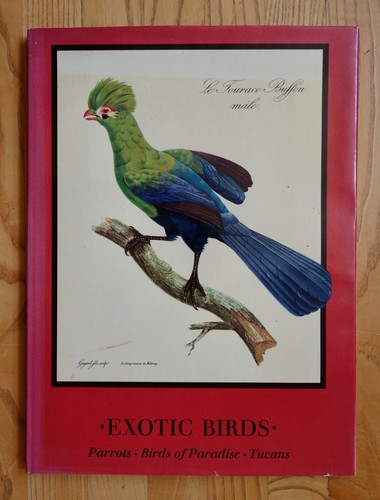 Exotic birds parrots - "exotic,