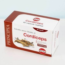 fungo cordyceps sinensis -