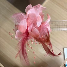 Clip ornamento capelli