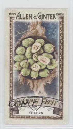 2022 topps allen ginter - topps,