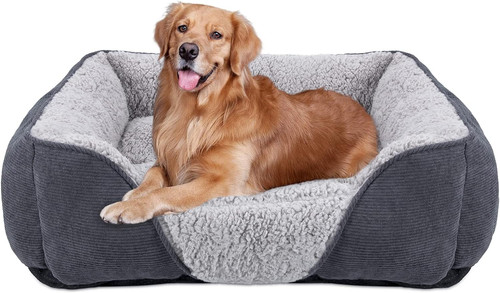Cuccia cane interno - cuccia, taglia