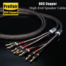 Coppia Cavo Altoparlante HiFi