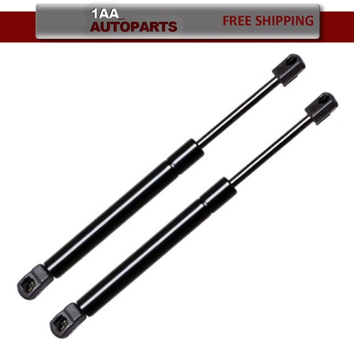 Pair rear trunk liftgate door - rear,