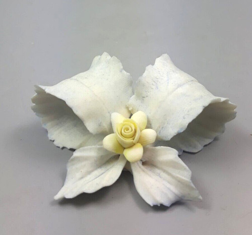 Capodimonte porcellana