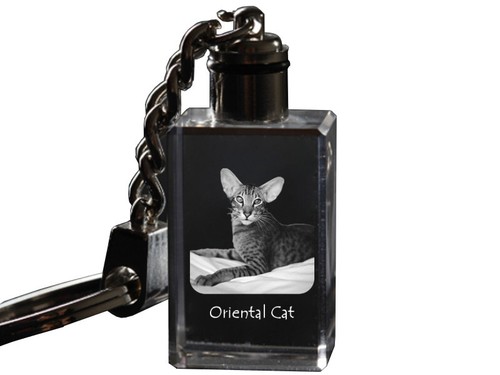 Gatto orientale portachiavi