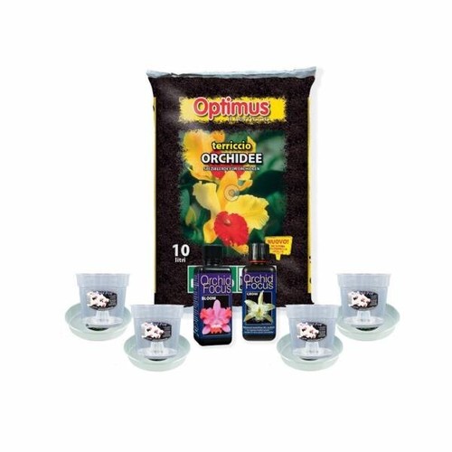 Kit orchidea vasi - orchidea, +