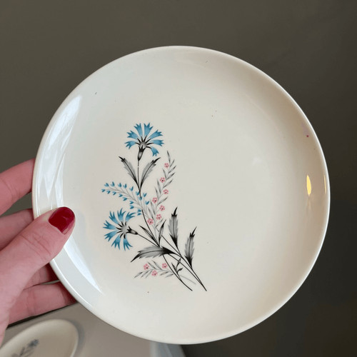 Set piatti vintage taylor - vintage,