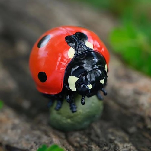 Statua coccinella septempuncta - coccinella,
