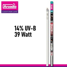 Arcadia Lampada T5 D3 Dragon