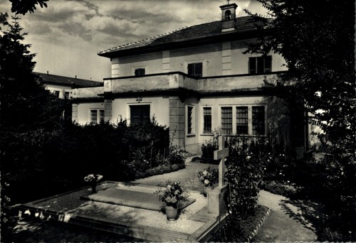 Vische torino istituto del - -,