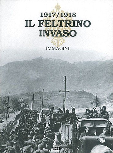 Libri feltrino invaso - feltrino,